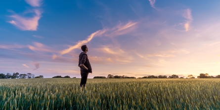 Person står i kornmark og kigger på solopgang - Person standing on cornfield and looking at the sunrise